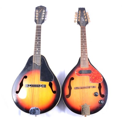 Lot 296 - Two eight-string mandolins